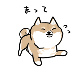 Shiba Inu Taro sticker #8049006
