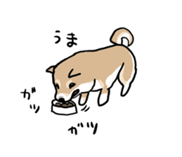 Shiba Inu Taro sticker #8049008