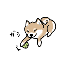 Shiba Inu Taro sticker #8049011