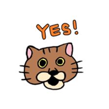 Everyday Cat momo sticker #8049774