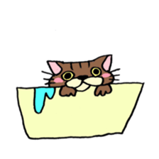 Everyday Cat momo sticker #8049781