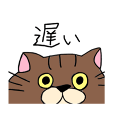 Everyday Cat momo sticker #8049790