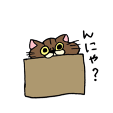 Everyday Cat momo sticker #8049794