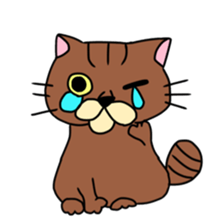 Everyday Cat momo sticker #8049797