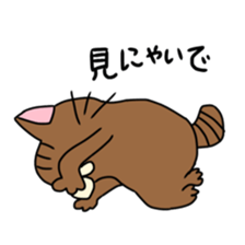 Everyday Cat momo sticker #8049802