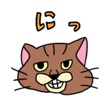 Everyday Cat momo sticker #8049803