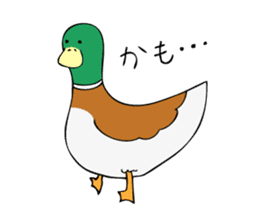 The Mallard Duck Sticker sticker #8051052