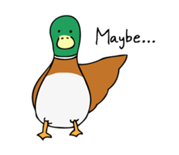 The Mallard Duck Sticker sticker #8051053