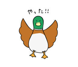 The Mallard Duck Sticker sticker #8051056