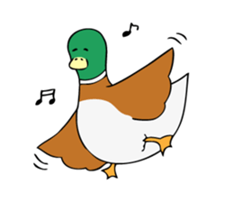 The Mallard Duck Sticker sticker #8051059