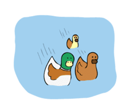 The Mallard Duck Sticker sticker #8051062