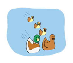 The Mallard Duck Sticker sticker #8051063