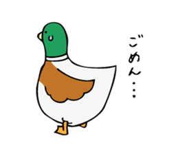 The Mallard Duck Sticker sticker #8051065
