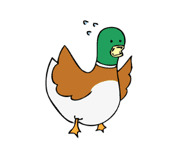 The Mallard Duck Sticker sticker #8051070