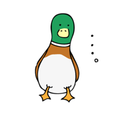 The Mallard Duck Sticker sticker #8051074