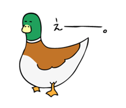 The Mallard Duck Sticker sticker #8051079