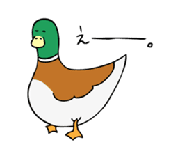 The Mallard Duck Sticker sticker #8051079