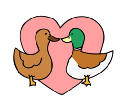 The Mallard Duck Sticker sticker #8051080