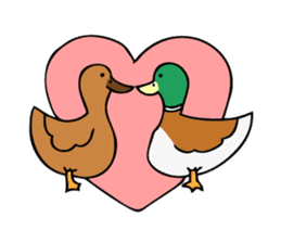 The Mallard Duck Sticker sticker #8051080