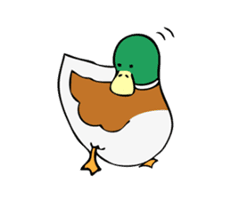The Mallard Duck Sticker sticker #8051082