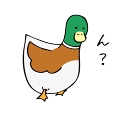 The Mallard Duck Sticker sticker #8051083