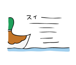 The Mallard Duck Sticker sticker #8051084