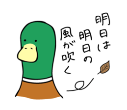 The Mallard Duck Sticker sticker #8051088