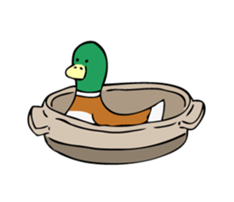 The Mallard Duck Sticker sticker #8051090