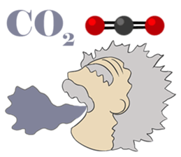 Elements, Compounds & Nutrients sticker #8054459