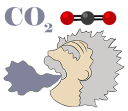 Elements, Compounds & Nutrients sticker #8054459