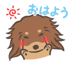 mild-fluffy-Dachshund sticker #8057533