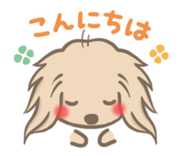 mild-fluffy-Dachshund sticker #8057534