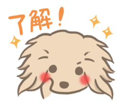 mild-fluffy-Dachshund sticker #8057546