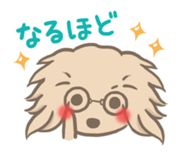 mild-fluffy-Dachshund sticker #8057561