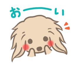 mild-fluffy-Dachshund sticker #8057565