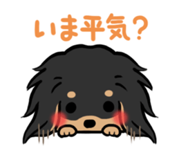 mild-fluffy-Dachshund sticker #8057566