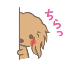 mild-fluffy-Dachshund sticker #8057567