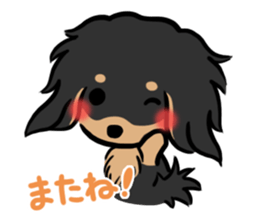 mild-fluffy-Dachshund sticker #8057570