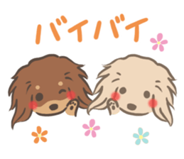 mild-fluffy-Dachshund sticker #8057571