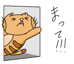 Each day of the tabby2 sticker #8057631
