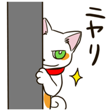 Three colors dogs sticker #8057908