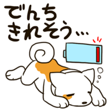 Three colors dogs sticker #8057914