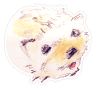 Hedgehog daily sticker #8058214