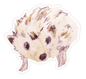 Hedgehog daily sticker #8058224