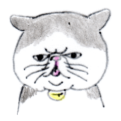 Kansai dialect chubby cat sticker