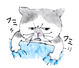 Kansai dialect chubby cat sticker sticker #8058454