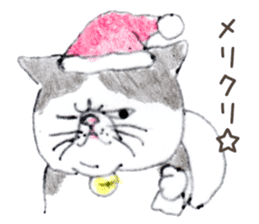 Kansai dialect chubby cat sticker sticker #8058456