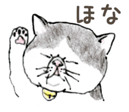 Kansai dialect chubby cat sticker sticker #8058459