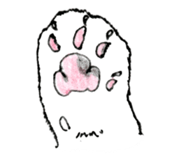 Kansai dialect chubby cat sticker sticker #8058462