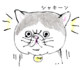 Kansai dialect chubby cat sticker sticker #8058470